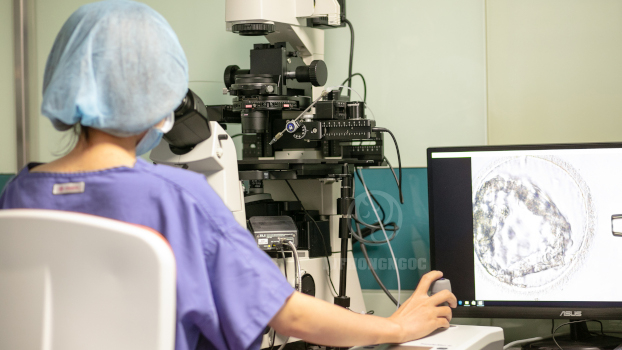 Suy buồng trứng sớm: Nguyên nhân và khả năng thực hiện IVF - ảnh 2