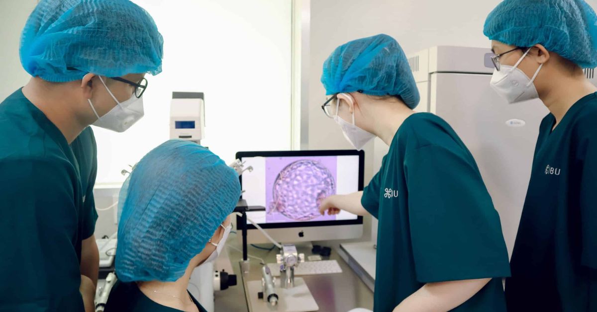 Chi phí thực hiện IVF là bao nhiêu? Cập nhật bảng giá IVF tại 7 cơ sở uy tín ở TP.HCM - ảnh 3