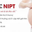Gói Xét nghiệm sàng lọc trước sinh NIPT (PK125-NIPT)