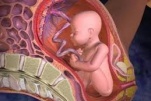Suy thai là gì, nguyên nhân và dấu hiệu