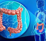 Tầm soát ung thư đại trực tràng không gây mê