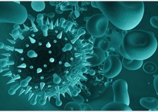 Ảnh 1 của Nhiễm vi rút hợp bào hô hấp