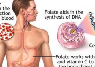 Ảnh 2 của Thiếu máu do thiếu Folate
