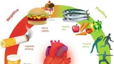 11 nguy cơ bệnh tim mạch hàng đầu có thể bạn chưa biết