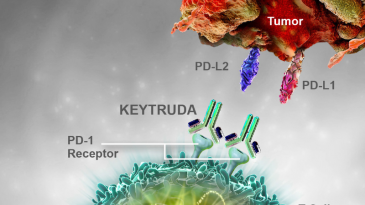 Thuốc miễn dịch Keytruda trong điều trị ung thư dạ dày thực quản