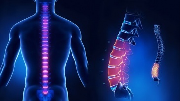 Vai trò của chụp cộng hưởng từ (MRI) trong chẩn đoán các bệnh cột sống, thắt lưng