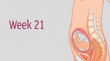 Sự phát triển của thai nhi tuần 21 mẹ bầu cần biết