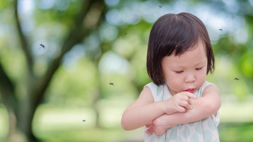 Sốt xuất huyết có các cấp độ nào? và dấu hiệu nhận biết