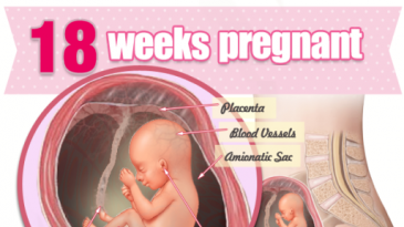 Sự phát triển của thai nhi tuần 18 mẹ bầu cần biết