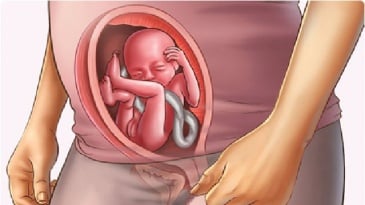 Sự phát triển của thai nhi tuần 16 mẹ bầu cần biết