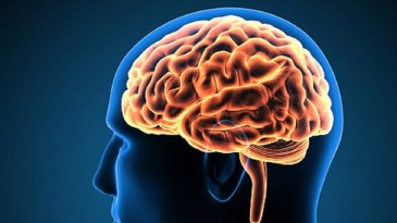 Tìm hiểu phương pháp nút túi phình động mạch não