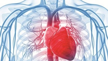 Xạ hình tưới máu cơ tim được dùng khi nào?