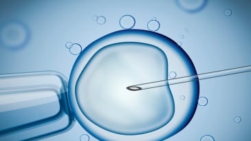 Làm IVF lần 1 thất bại, Thì sau bao lâu mới làm IVF lần 2?