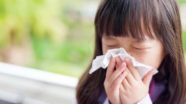 Viêm mũi dị ứng do phấn hoa: Triệu chứng, phòng tránh và Cách điều trị