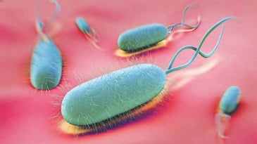 Nhiễm H.pylori và các bệnh lý liên quan với phương pháp chẩn đoán xâm nhập