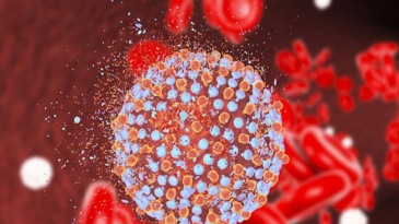 Viêm gan virus: Những điều bạn cần biết