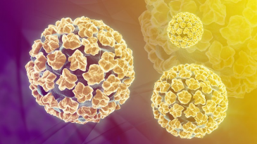 Vắc - xin HPV có thể làm giảm nguy cơ của một số loại ung thư?