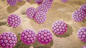 Virus HPV gây ung thư cổ tử cung có lây không?