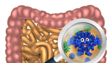 Vi khuẩn đường ruột nói gì về bạn?