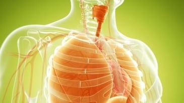 Vật lý trị liệu trong phục hồi bệnh hô hấp là gì? Quy trình thực hiện