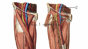 Trường hợp nào nên được chụp cắt lớp vi tính mạch máu chi dưới? Quy trình chụp