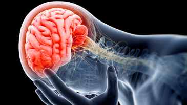 Quy trình Gây mê phẫu thuật cho bệnh nhân chấn thương sọ não