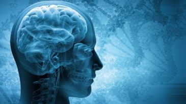 Những Tiêu chuẩn nào chẩn đoán chết não?