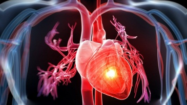 Chụp cộng hưởng từ tim (MRI) đánh giá các bệnh lý tim bẩm sinh