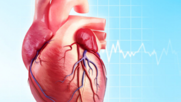 Phục hồi chức năng tim mạch là gì ?