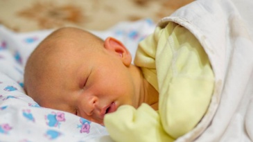 Vàng da do gan chưa trưởng thành ở trẻ sinh non