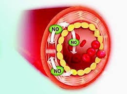 10 loại thực phẩm tốt nhất để tăng oxit nitric