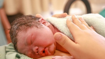 Trẻ sơ sinh làm gì trong một giờ đầu tiên sau khi chào đời?