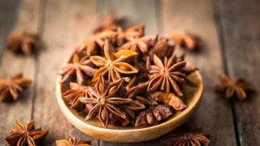 7 lợi ích sức khỏe và công dụng của hạt hồi