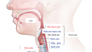 Liệt dây thanh quản và phương pháp điều trị