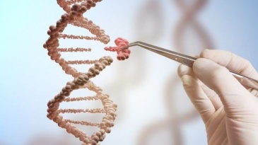 Xét nghiệm gen đánh giá nguy cơ ung thư di truyền