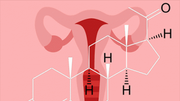 Chỉ số progesterone ảnh hưởng đến khả năng thụ thai trong thụ tinh nhân tạo IVF