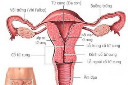 Tầng sinh môn những điều phụ nữ cần biết