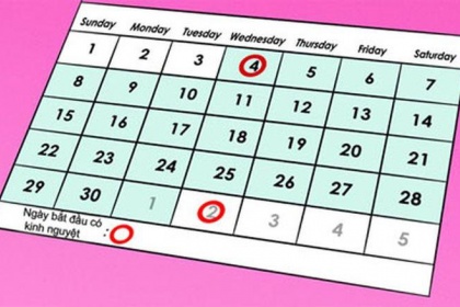 Cách tính ngày rụng trứng giúp vợ chồng dễ thụ thai