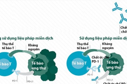 Điều trị ung thư của liệu pháp ức chế chốt kiểm soát miễn dịch