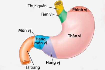 Viêm xung huyết hang vị dạ dày: Chẩn đoán và điều trị