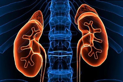 Hội chứng thận hư có nguy hiểm không?, Chẩn đoán và điều trị như thế nào?
