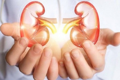 Sự khác nhau giữa bệnh thận mạn ở nam và nữ