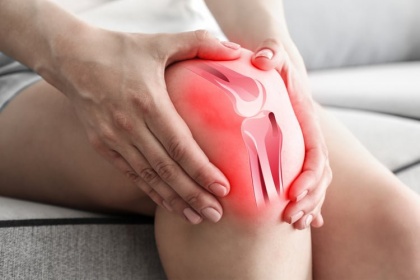 Gân chân ngỗng là gì?, Cấu tạo và vai trò