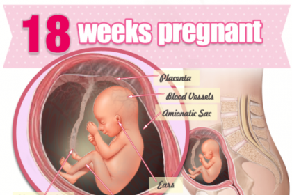 Sự phát triển của thai nhi tuần 18 mẹ bầu cần biết