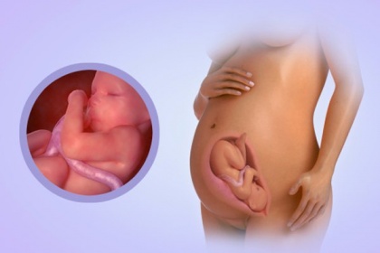Sự thay đổi của bà bầu tuần 32 mẹ bầu cần biết