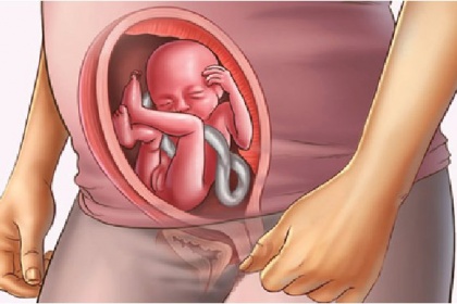 Sự phát triển của thai nhi tuần 16 mẹ bầu cần biết