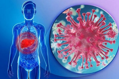 Viêm gan virus B: Nguyên nhân, con đường lây nhiễm, triệu chứng và Cách điều trị
