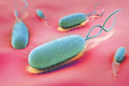Nhiễm H.pylori và các bệnh lý liên quan với phương pháp chẩn đoán xâm nhập