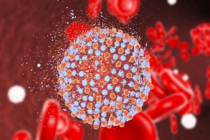 Viêm gan virus: Những điều bạn cần biết
