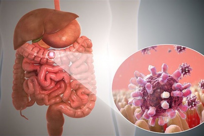 Viêm dạ dày ruột ở người lớn